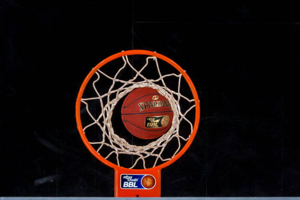 但布鲁日目 但布鲁日目